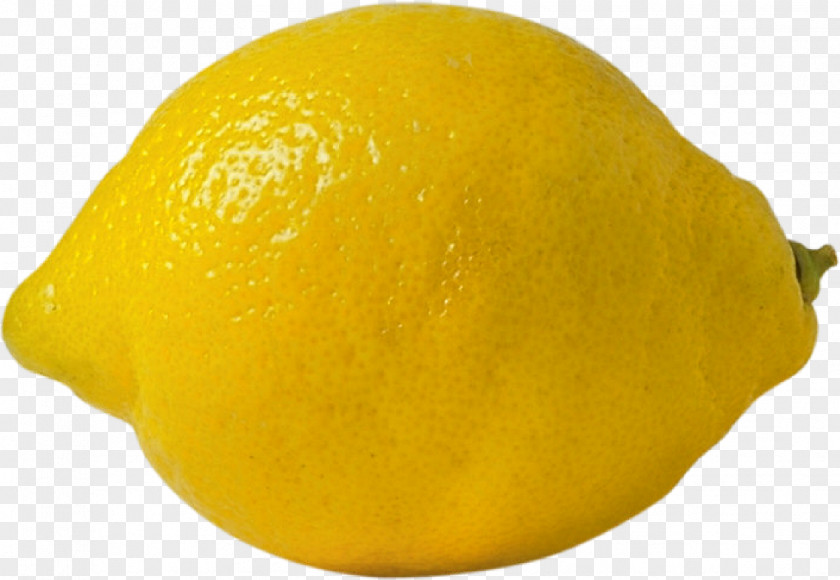 Lemon Mandarin Orange Tangelo Rangpur Lime PNG