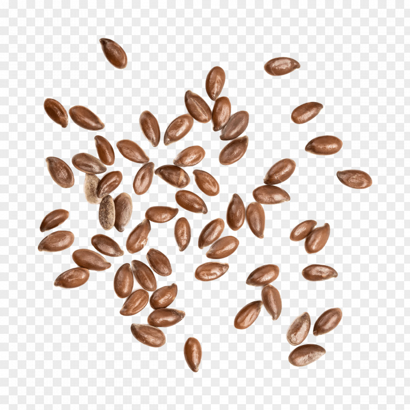 Seed Cereal Grain Royalty-free Stock Photography PNG