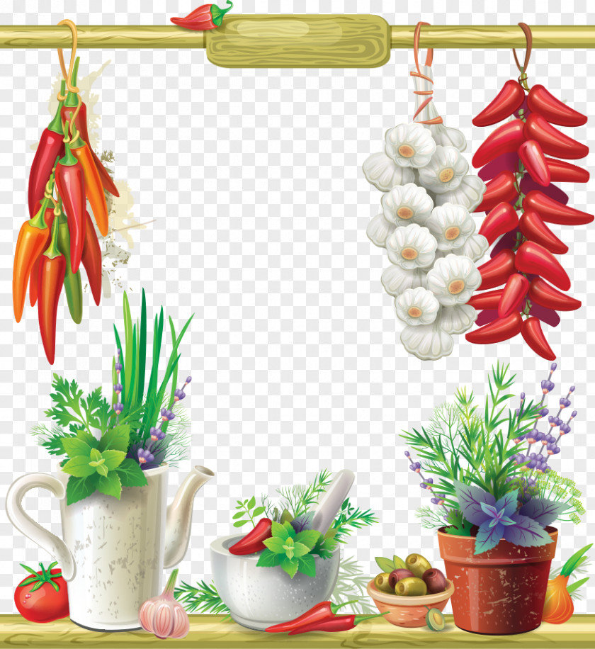 Vector Peppers And Garlic Plants Photography Illustration PNG