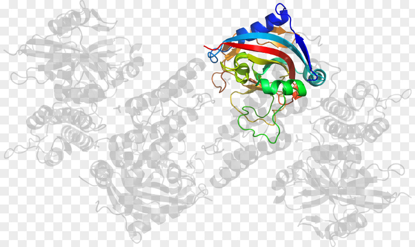 Design Vertebrate Cartoon Clip Art PNG