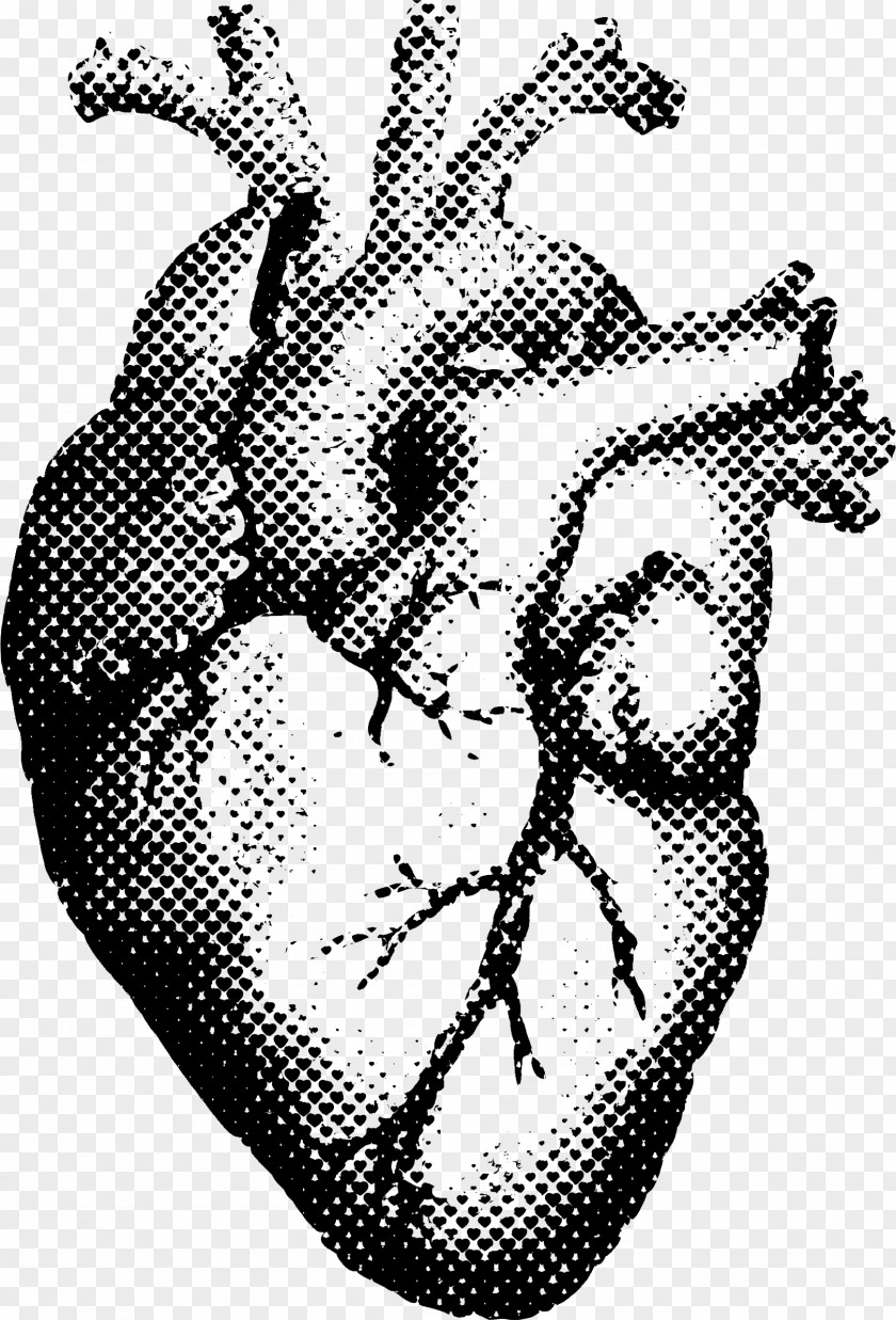 Human Heart Anatomy T-shirt Printing PNG