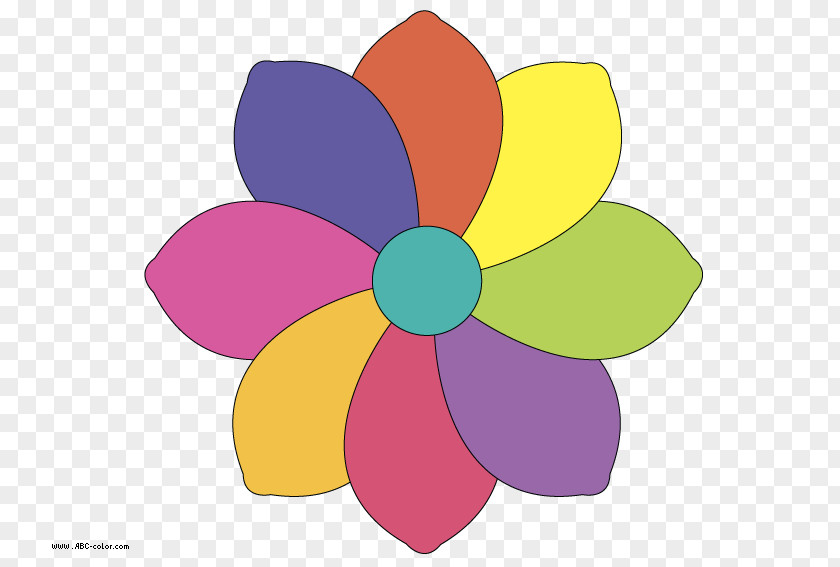 Inflorescence Drawing Vector Graphics Flower PNG