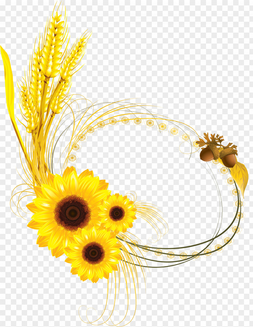 Wheat Common Sunflower Photography Royalty-free PNG