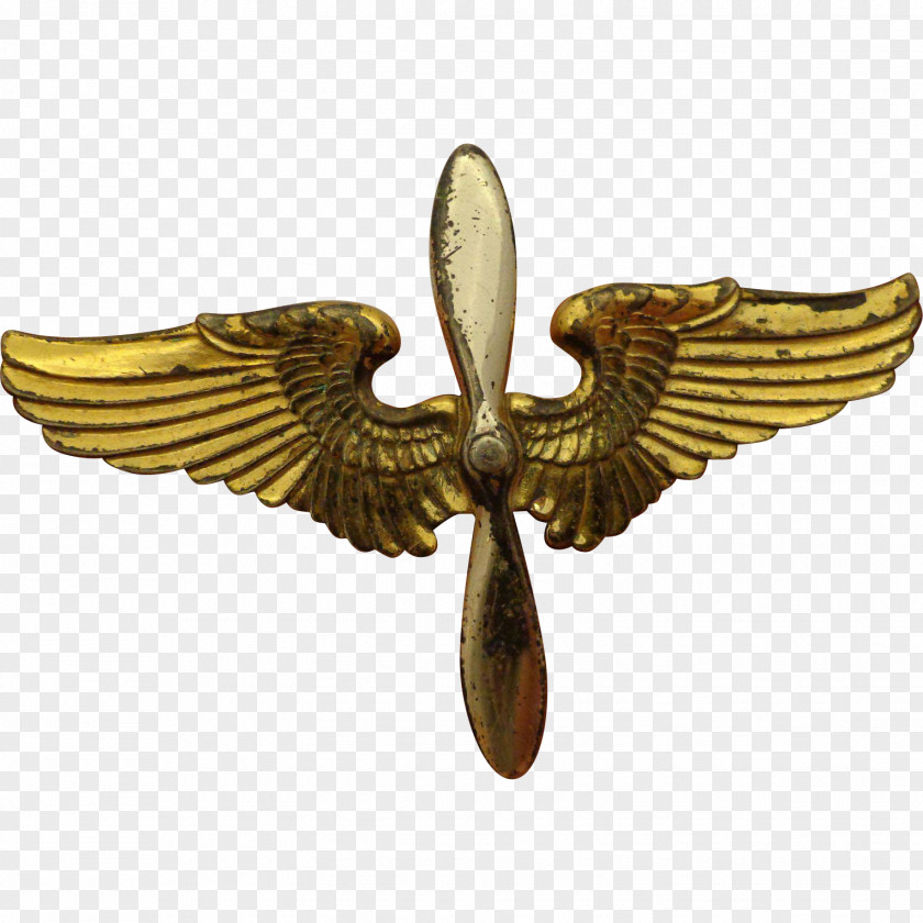 Army Aviation Wings Badges 01504 PNG