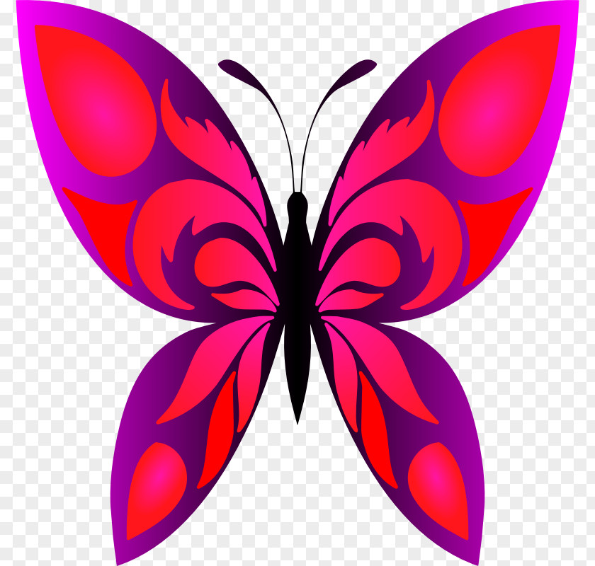 Butterfly Monarch Clip Art Image Openclipart PNG