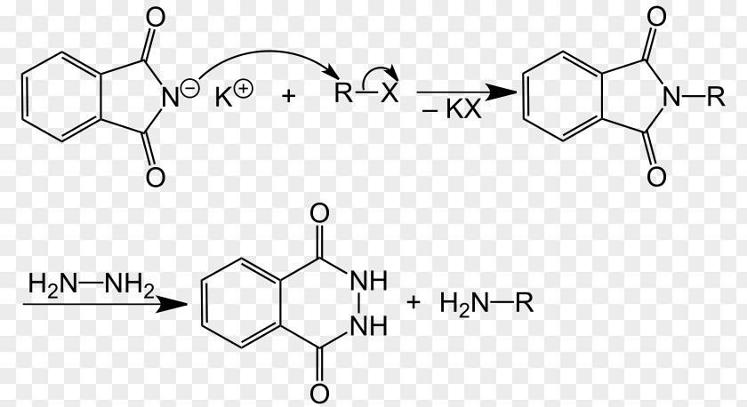 Crotonic Acid Potassium Phthalimide Gabriel Synthesis Warfarin Name Reaction PNG