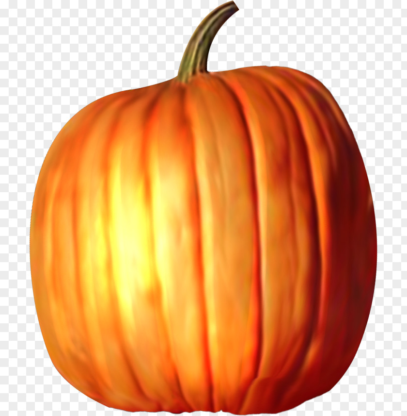 Pumpkin Jack-o-lantern Calabaza Pumpkins & Squashes Winter Squash PNG