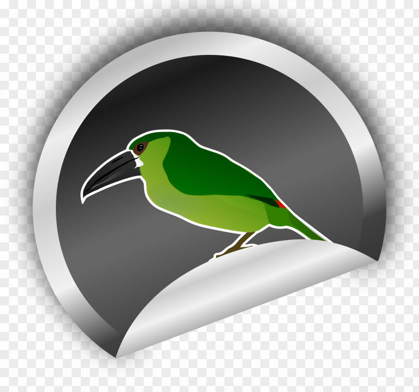 Toucan Sticker Toucanet Silver Clip Art PNG