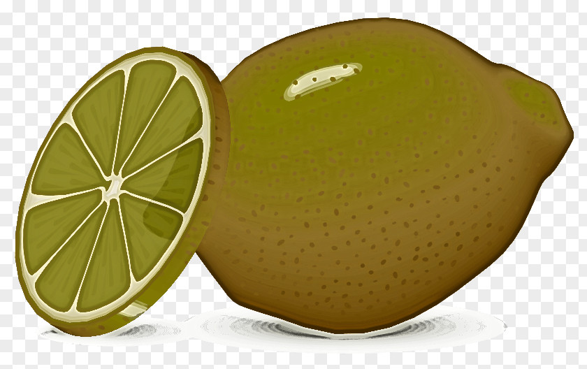 Citrus Fruit Persian Lime Lemon PNG