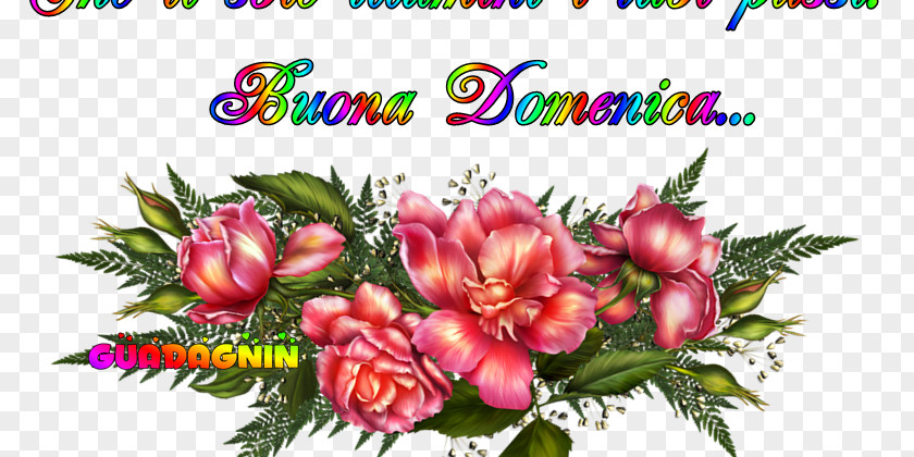 Famosi Frasi Libri Flower Animaatio Garden Roses Color GIF PNG