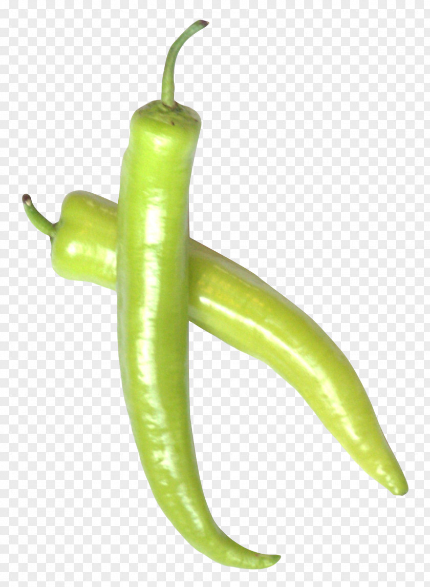 Green Chili Pepper Serrano Jalapexf1o Cayenne Bell PNG