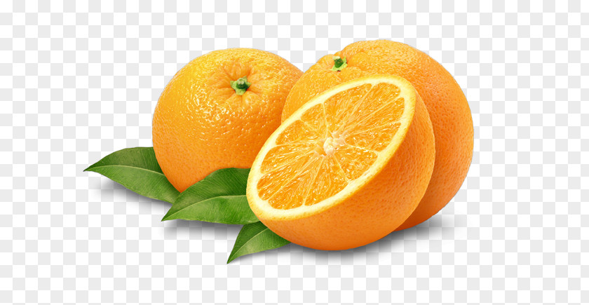 Orange Mandarin Tangerine Bitter Lemon PNG