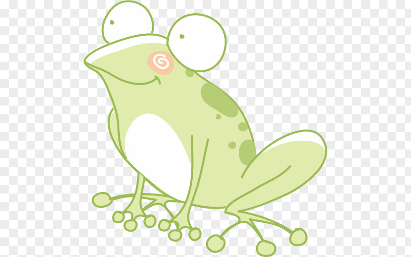 Painted Frog Cartoon Drawing PNG