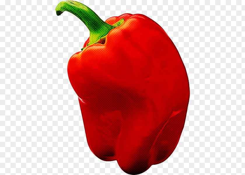 Paprika Plant Bell Pepper Pimiento Capsicum Red Vegetable PNG