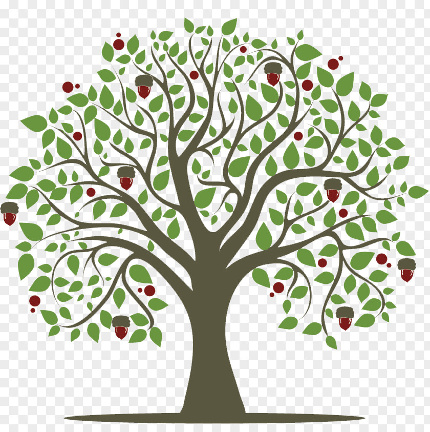 Tree Twig Sociology: The Basics Oak PNG