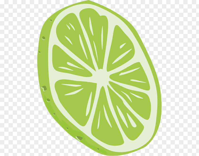 Vector Green Lemon Slices Key Lime Pie Clip Art PNG