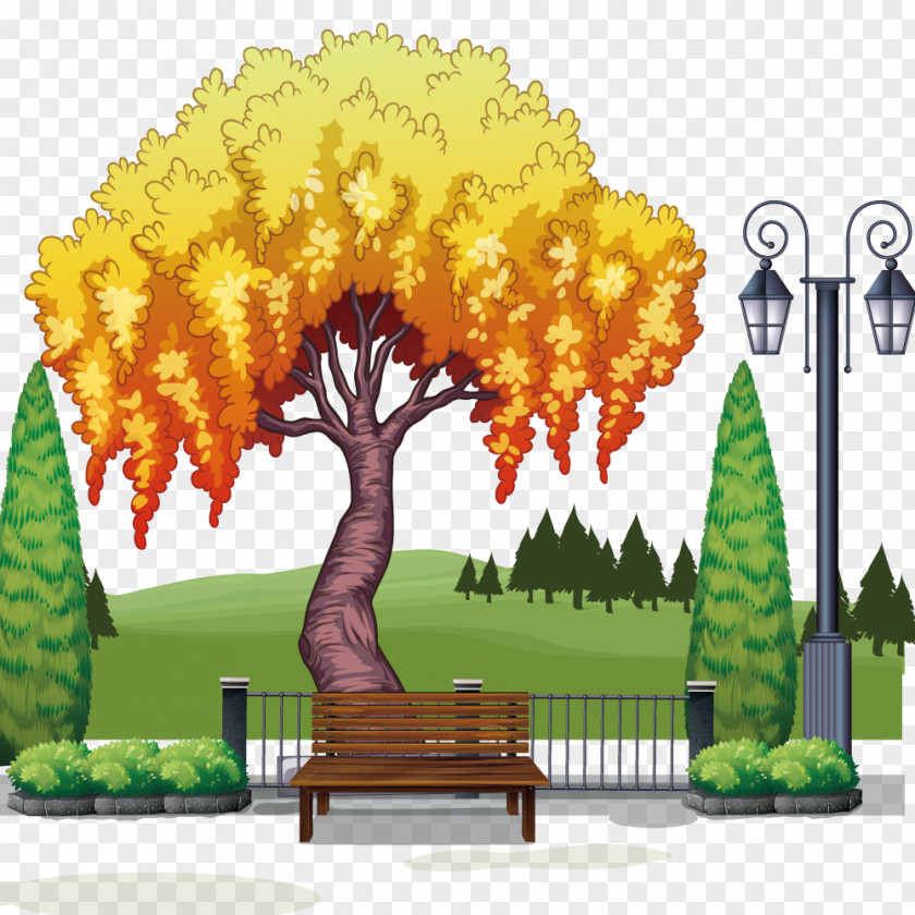 Vector Park Trees Tree Stock Photography Illustration PNG