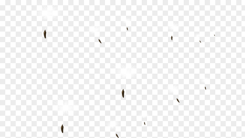 Dandelion Line Angle Black And White Point PNG