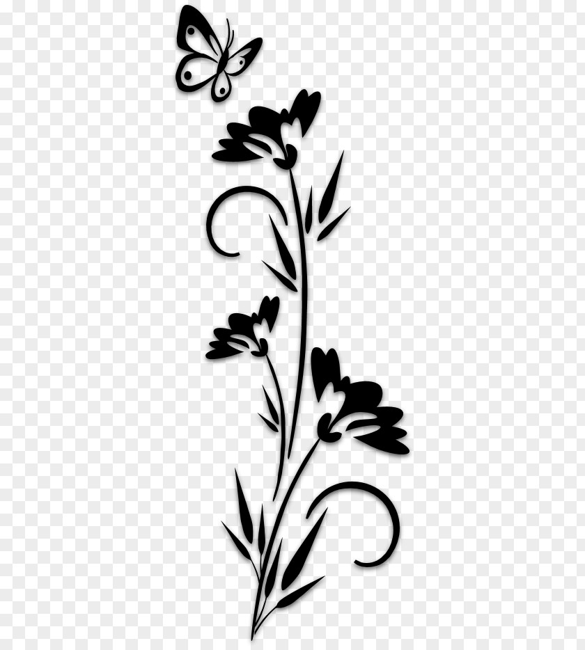 Design Floral Stencil PNG