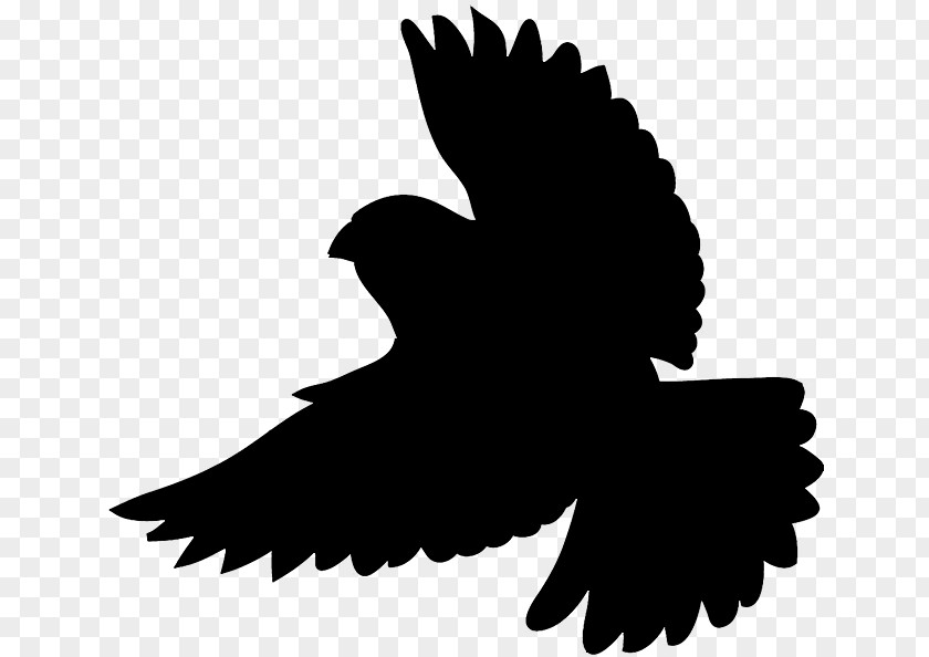 Flying Bird Outline Silhouette Clip Art PNG