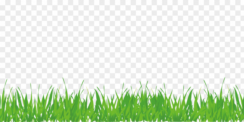 Free Buckle Creative Green Grass Lawn PNG