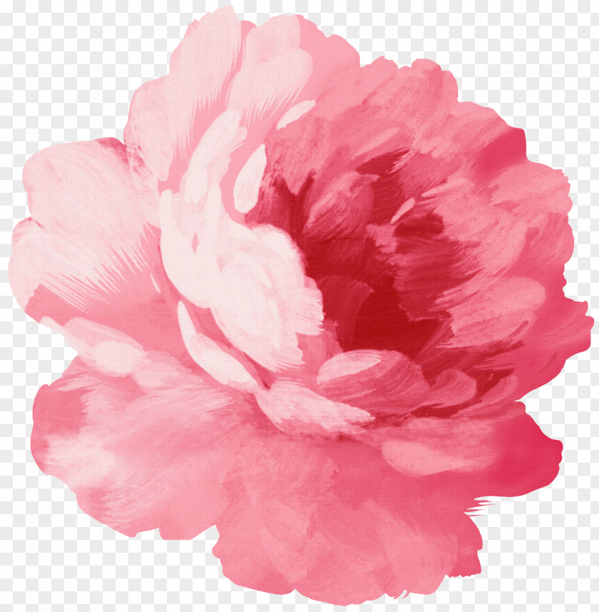 Brushwork Pastel Color Paper Sticker Pink Flowers Rose PNG