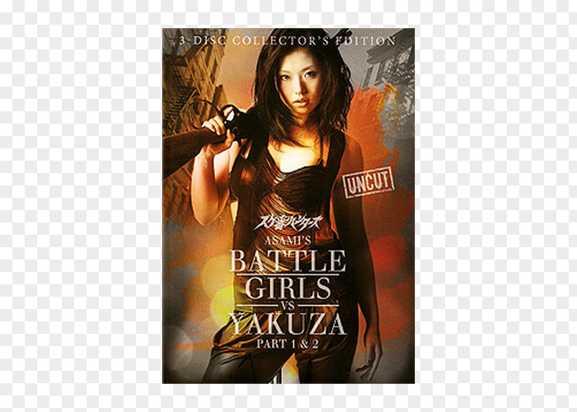 Dvd Blu-ray Disc Action Film Battle Girls DVD PNG