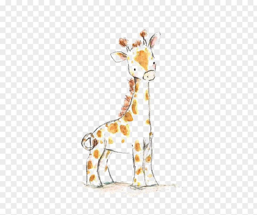 Giraffe Drawing Watercolor Painting Infant Child PNG