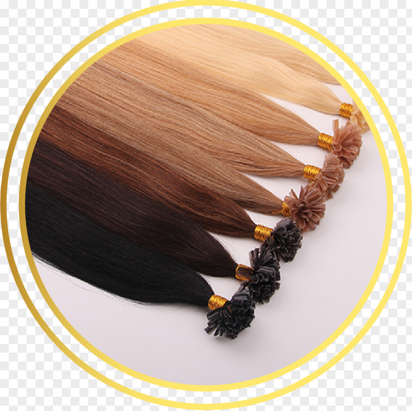 Hair Artificial Integrations Tie Mongolia Russia PNG