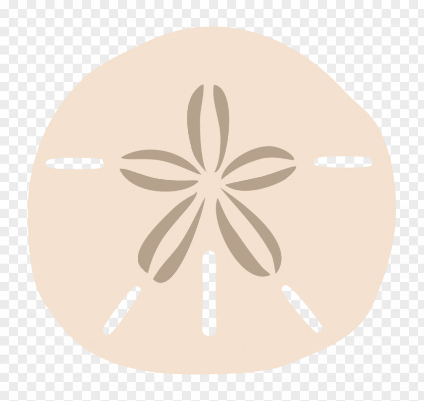 Live Sand Dollar Clip Art Sea Urchin Favicon Openclipart PNG