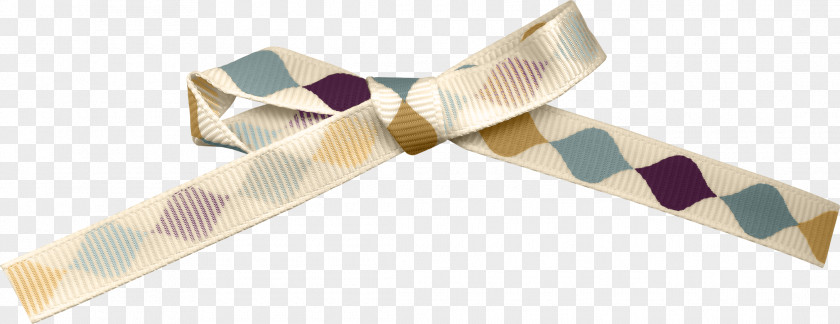 Small Fresh Bow Ribbon Shoelace Knot Gift PNG