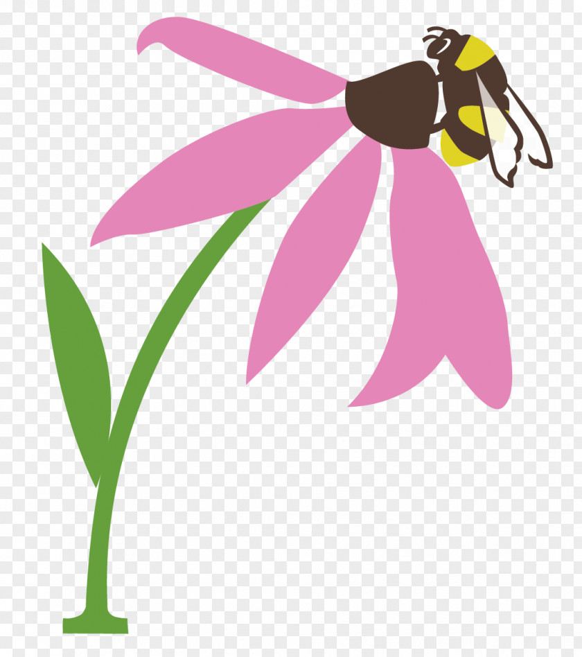 Bee Clip Art Butterfly Pollination Pollinator PNG