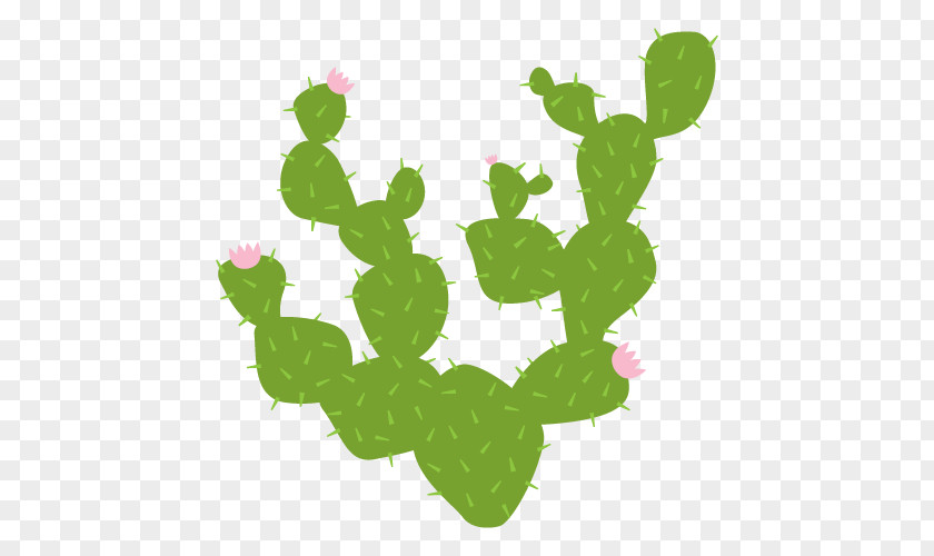 Cactus Flower Wall Decal Sticker Cactaceae PNG