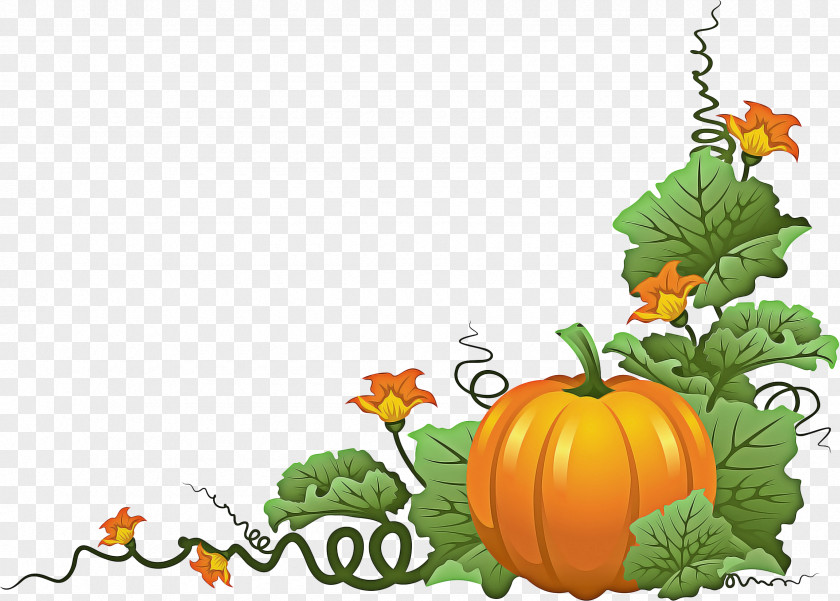 Flower Vegetarian Food Halloween Orange Background PNG