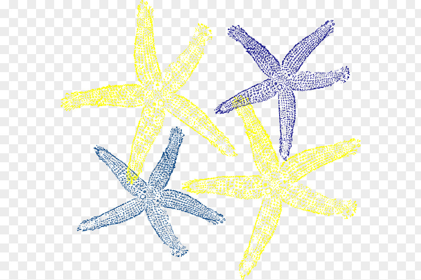 Hawaii Posters Clip Art Image Starfish PNG