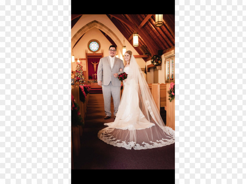 Wedding Veil Dress Bride PNG