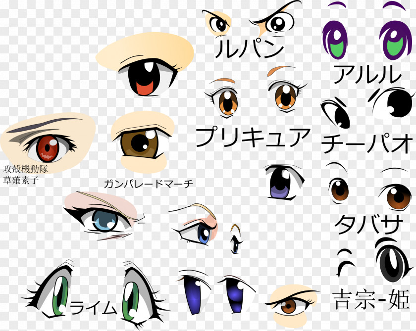 Eye Eyebrow Glasses Illustration Eyelash PNG