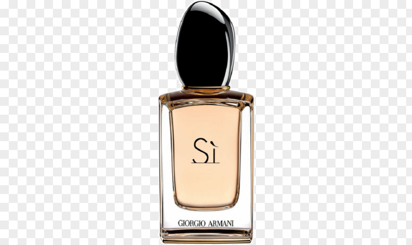 Perfume Armani Acqua Di Giò Eau De Parfum Toilette PNG