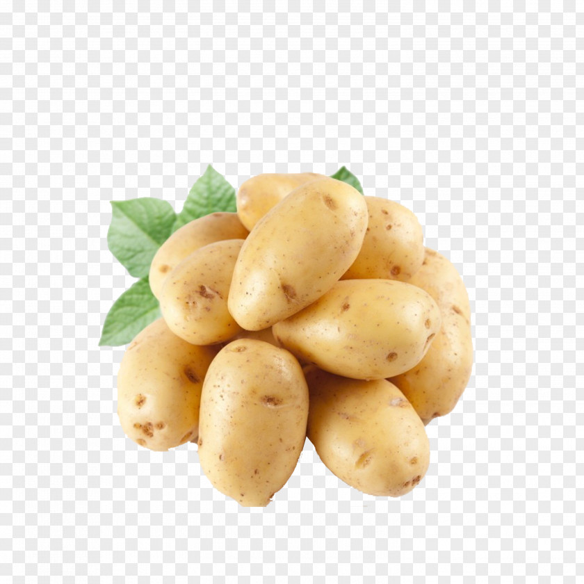 Potato Leaf Vegetable Nutrition Seed PNG