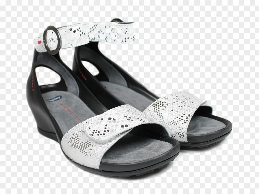 Sandal Shoe PNG