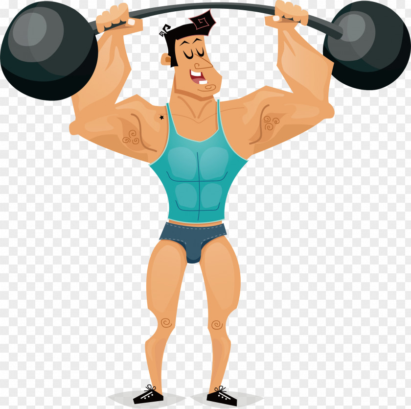 Weightlifting Man Vector Weight Training Barbell Olympic PNG