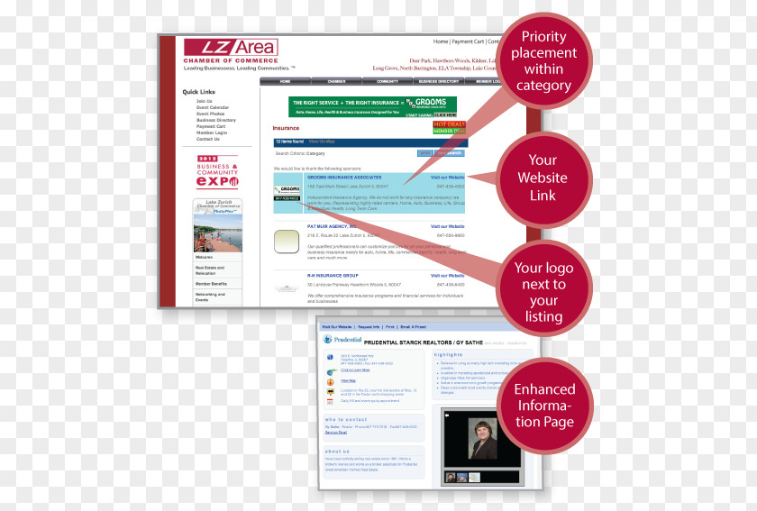 World Wide Web Page Display Advertising Online Organization PNG