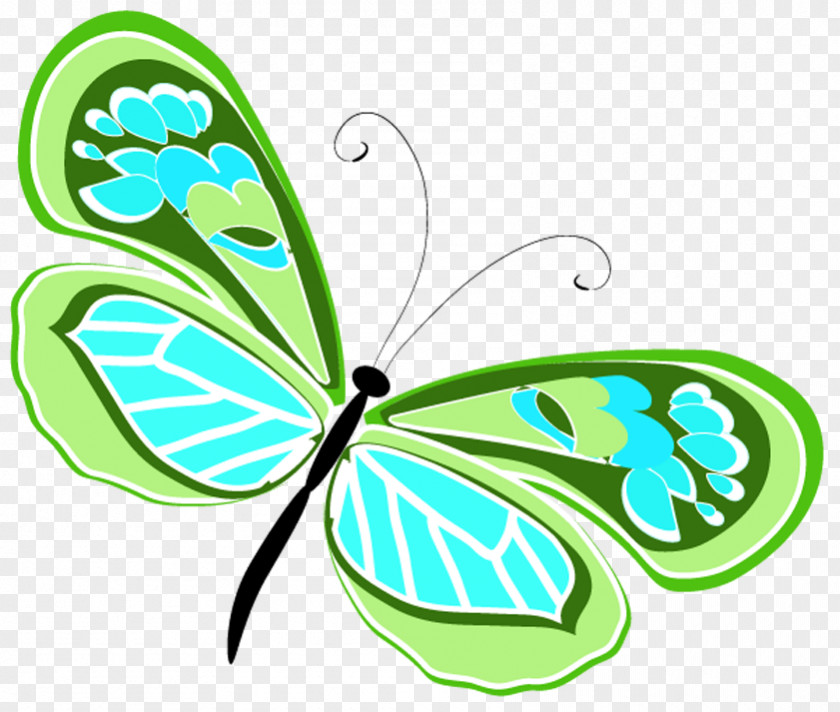 Butterfly Monarch Insect Vector Graphics PNG