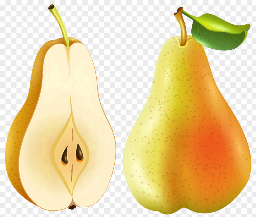 Crisp Pear Fruit Amygdaloideae Asian Clip Art PNG