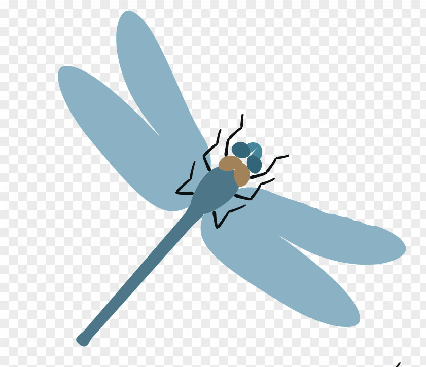 Dragonfly Beetle Ant Mosquito PNG