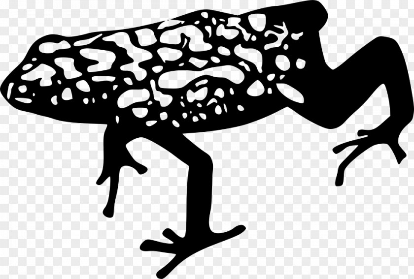 Frog Toad Tree Clip Art PNG