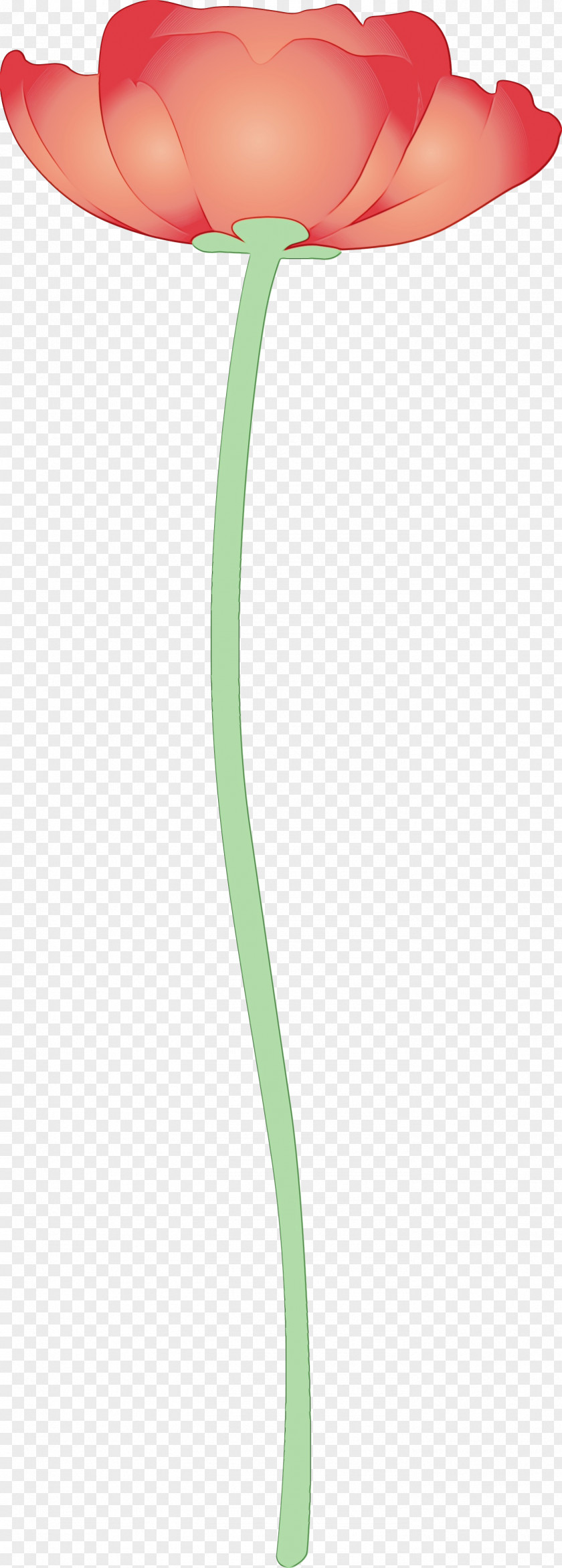 Green Line Plant PNG