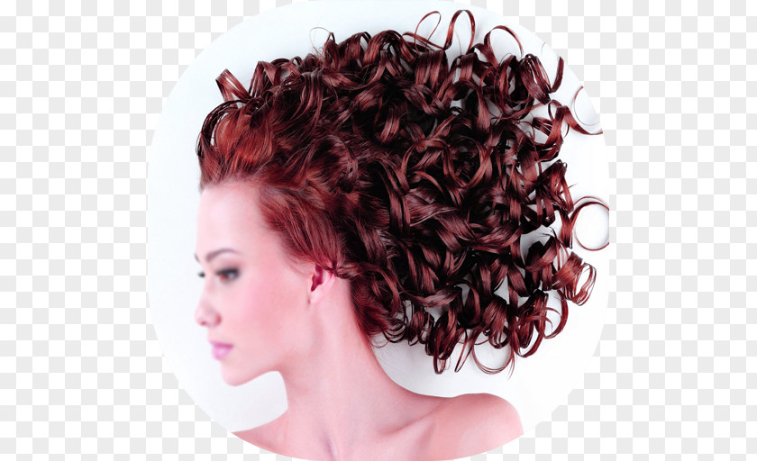 Hairstyle For Editing Beauty Parlour Hairdresser Hair Conditioner Roller PNG