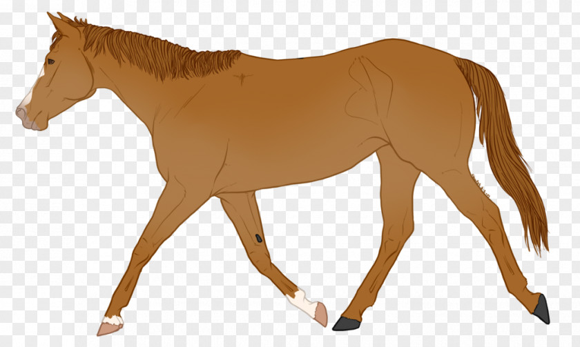 Horse Illustration Pony Vector Graphics Carriage PNG