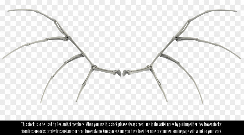 Metal Wings Bone Human Skeleton Image Bird PNG
